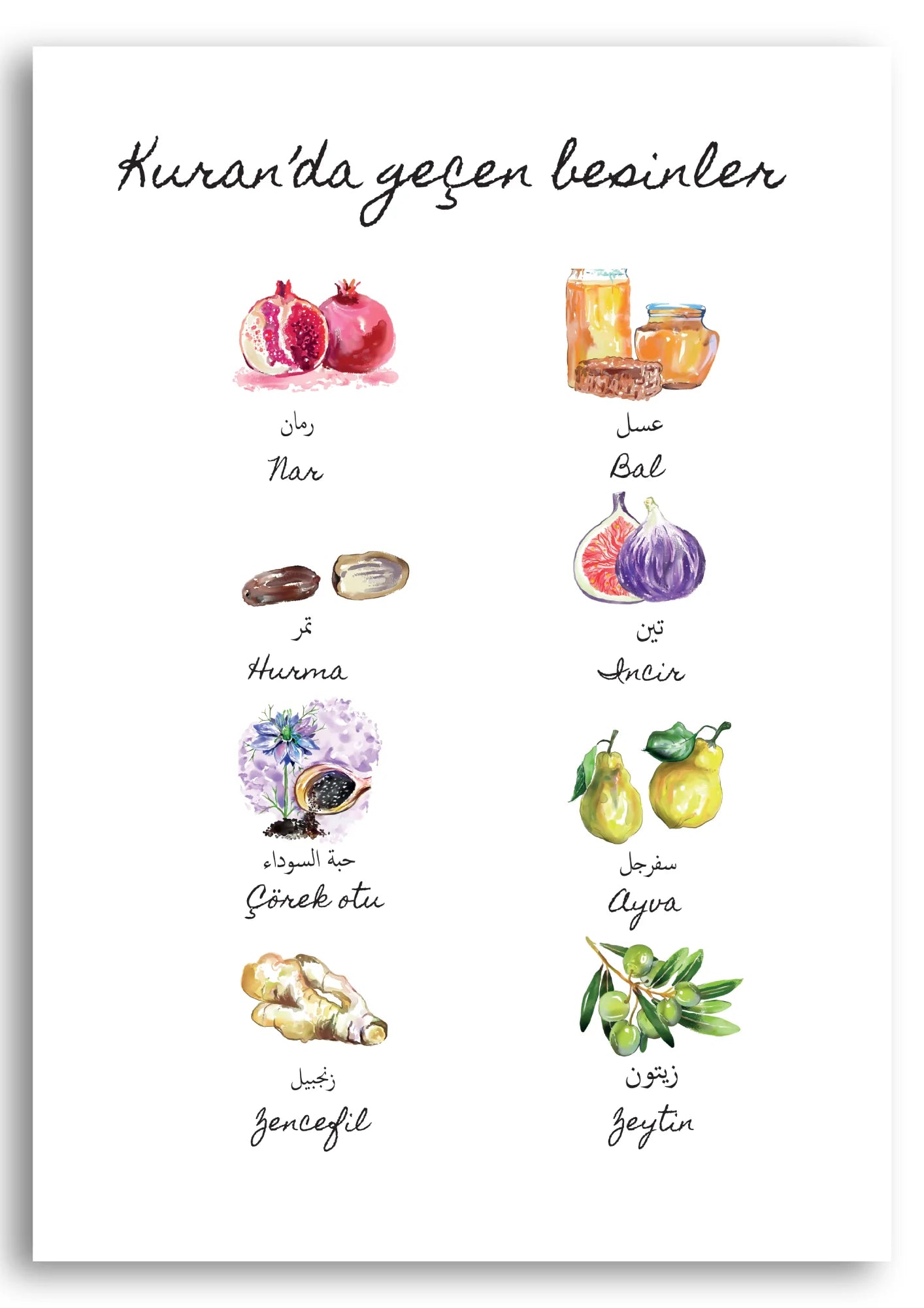 Food in the Qur'an - Portrait