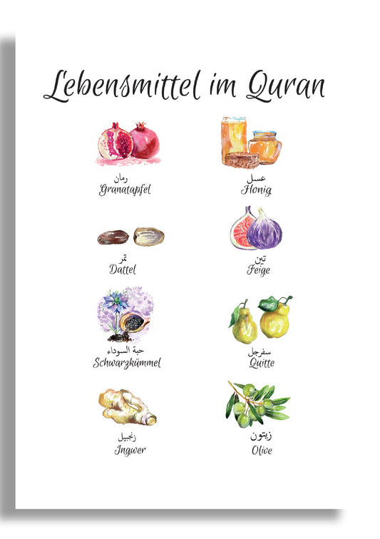 Food in the Qur'an - Portrait
